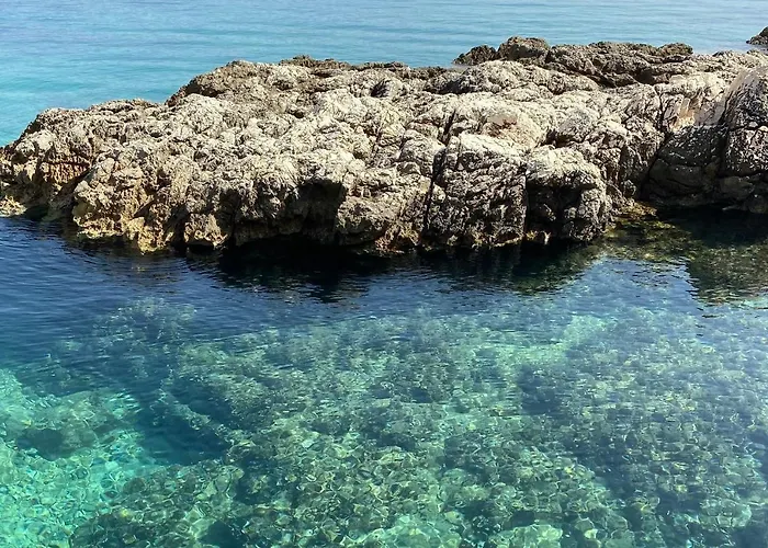 아파트 Rising Sun, *